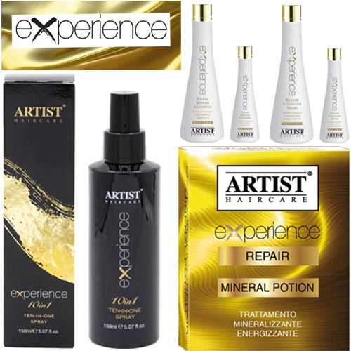 EXPERIENCE TOTAL REPAIR ARTIST การรักษา  การดูแลเส้นผม