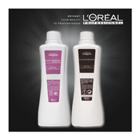 RICHESSE 탐지기 DE Diacolor L OREAL 머리 색 개발자