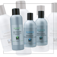 KEKAL ALLWAVES Rambut kekal