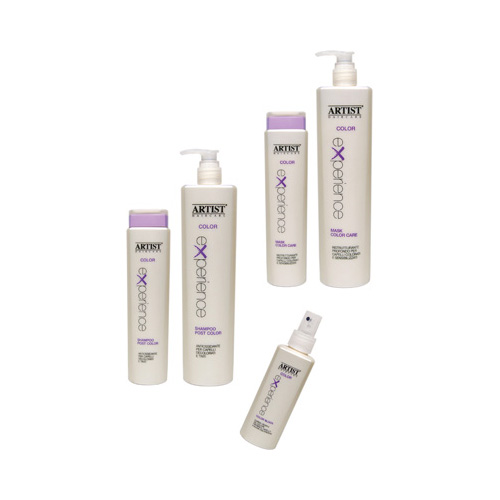 ประสบการณ์สี ARTIST การรักษา  การดูแลเส้นผม