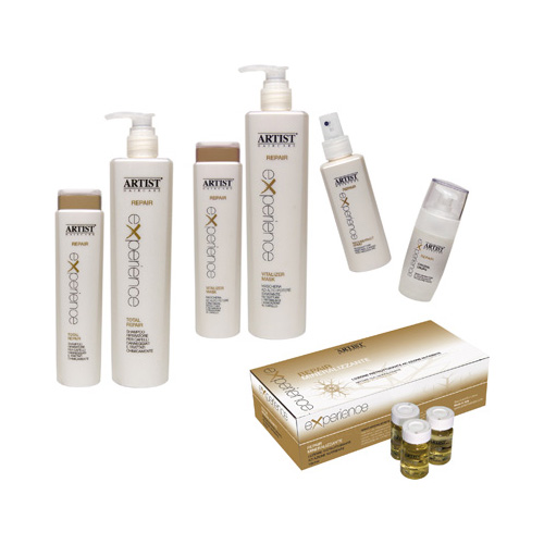 ซ่อม ประสบการณ์ ARTIST การรักษา  การดูแลเส้นผม