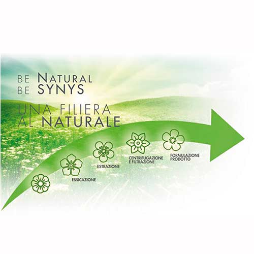 DIKSONATURA DIKSON Behandlinger  hårpleje