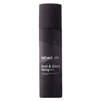 HOLD & GLOSS SPRAY LABEL.M Produk khas untuk rambut