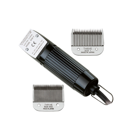 MAPAN MOROCUTTI pemangkasan aksesori