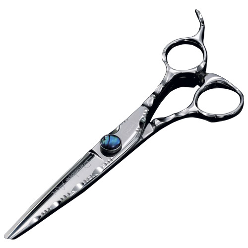 FÖÖN KAHE BI 5000 PLUSS 5000-FÖÖN PININ Käärid Juuksed