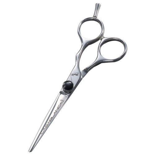 FÖÖN KAHE BI 5000 PLUSS 5000-FÖÖN PININ Käärid Juuksed