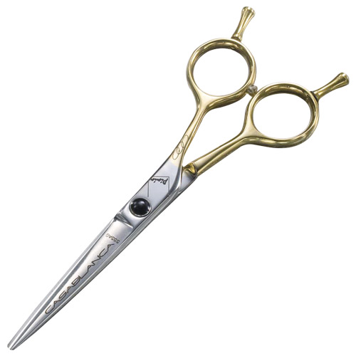 FÖÖN KAHE BI 5000 PLUSS 5000-FÖÖN PININ Käärid Juuksed