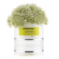 CURLADDICT MEDAVITA Tratamentos  cuidados com os cabelos