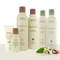 Rosemary MINT & Shampure AVEDA Rawatan  rambut penjagaan