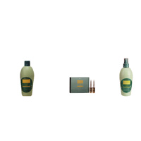 CHOQUE TRATAMIENTO ANTI CAIDA SALERM Tratamientos  el cuidado del cabello